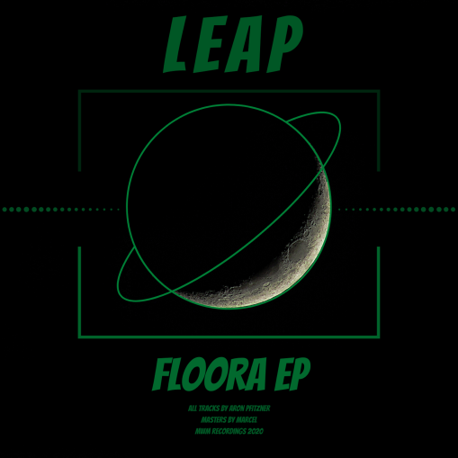 Leap artwork (MWMEP011)